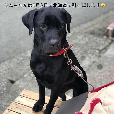 Hakone Guesthouse Toi Екстериор снимка