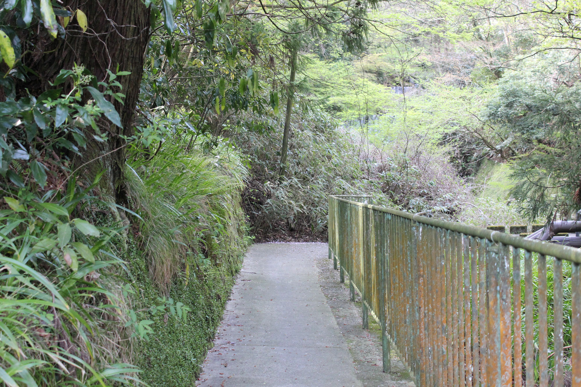 Hakone Guesthouse Toi Екстериор снимка