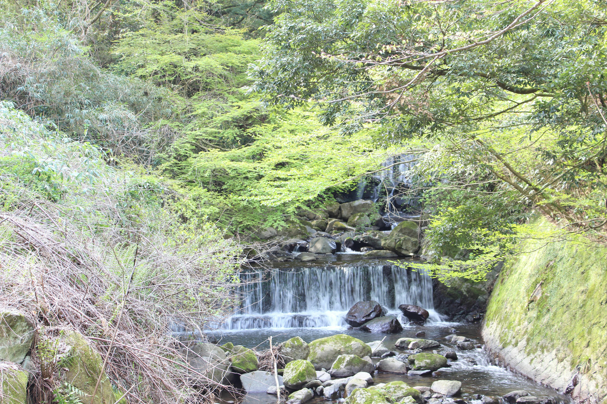 Hakone Guesthouse Toi Екстериор снимка